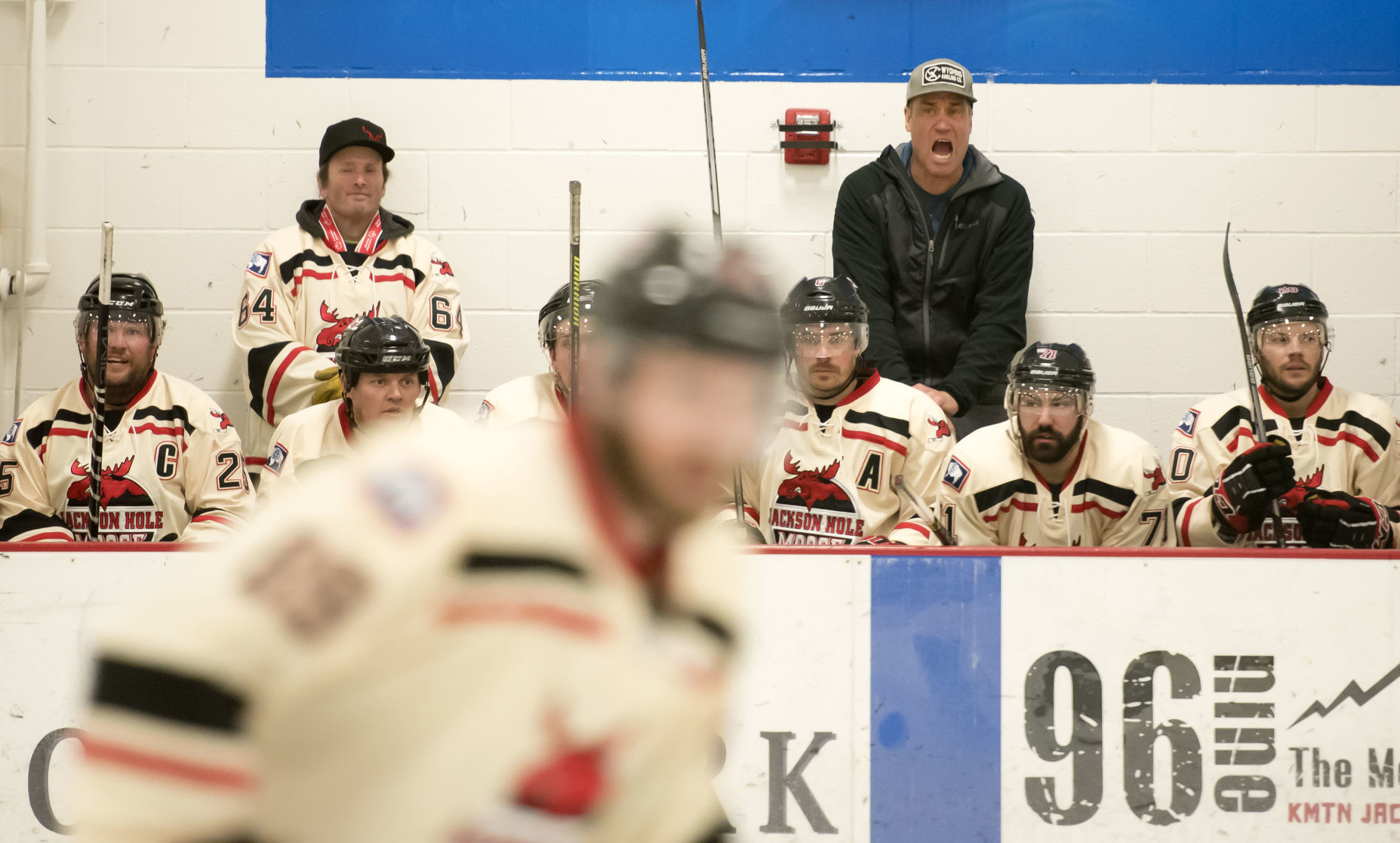 Moose hockey